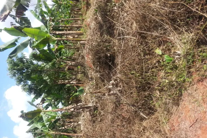 Land for sale – photo 2