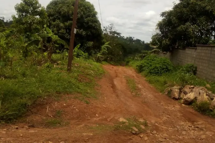 Very Affordable Land for sale at Eloumdem Ii – photo 2
