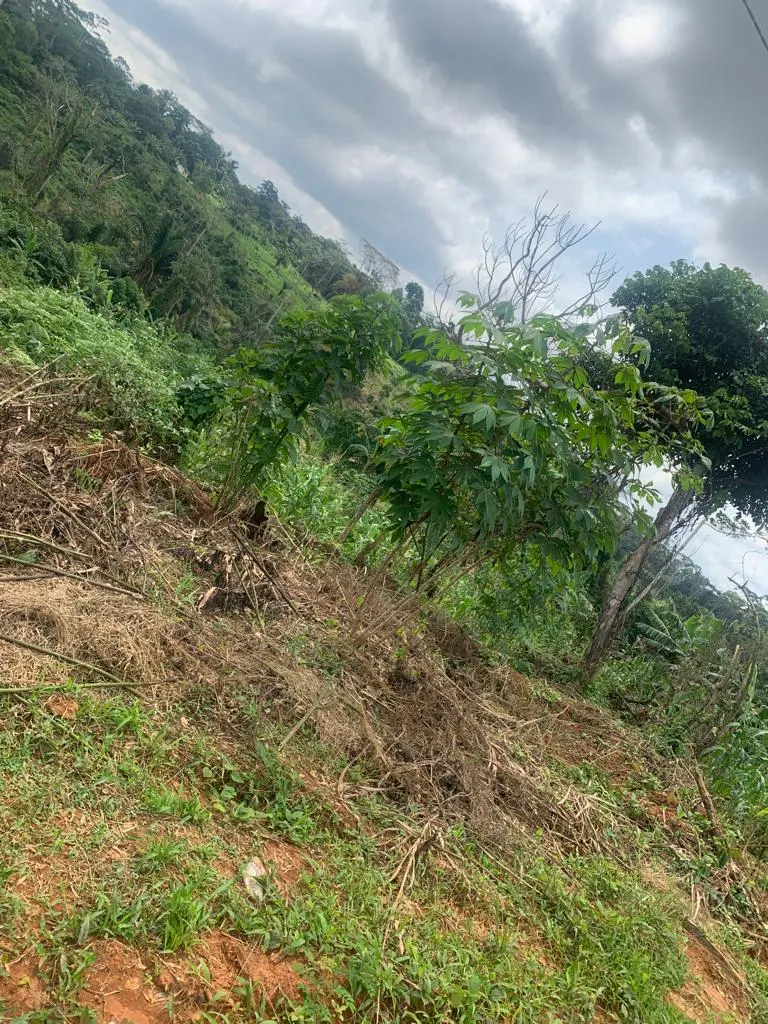 Land for sale at Mbankomo – 500 m² – photo 1