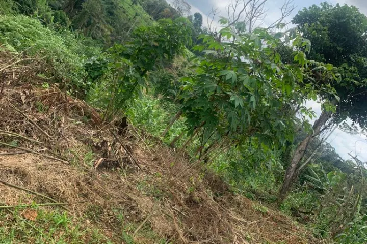 Land for sale at Mbankomo – 500 m² – photo 2